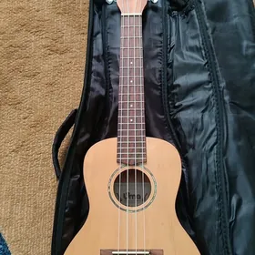 Gitara