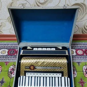 Akkordeon akordeon akadiyon