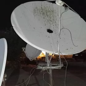 antenaanten
