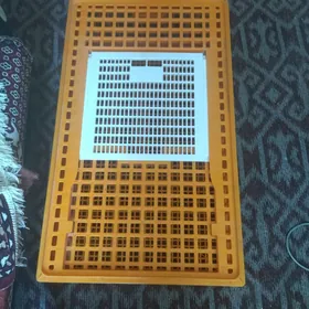 клетка