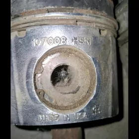 cummins şatun polşun