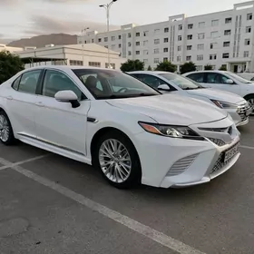 Toyota Camry 2020