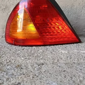 Awalon stopnik