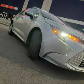 Toyota Corolla 2024