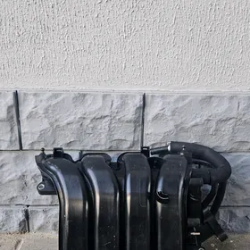 Hyundai/Kia 2011-2025 pauk