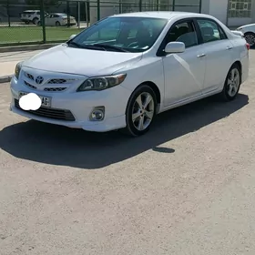 Toyota Corolla 2011