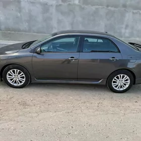 Toyota Corolla 2010