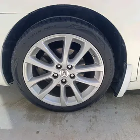 diska pakriska 18 lik