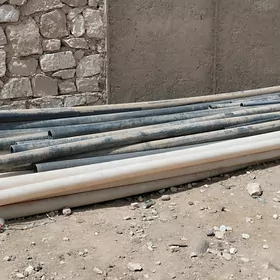 turba plasmas 100 lik