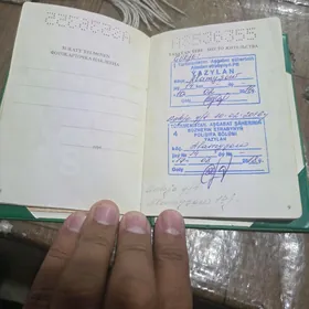 Pasport