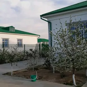 Taze Zaman ️ тазе заман
