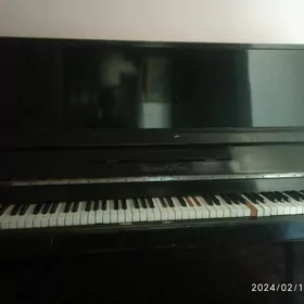 pianino Ростов-дон