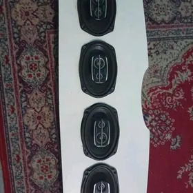 nikil 500 arginal