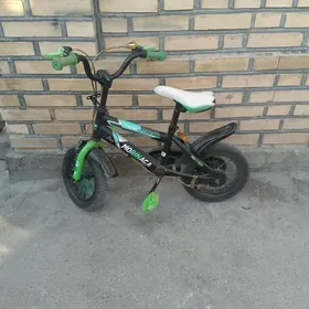 tigir