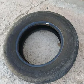 ayak
