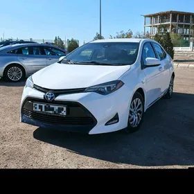 Toyota Corolla 2017