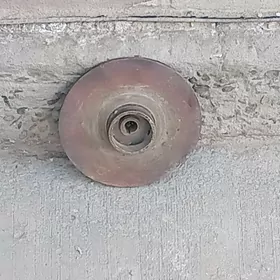 shimga nasozn krilcatkasy