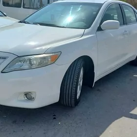 Toyota Camry 2010