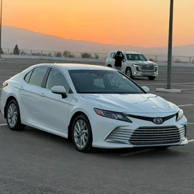 Toyota Camry 2021