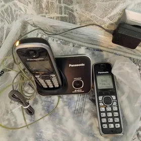 Panasonic