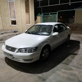 Toyota Camry 1999