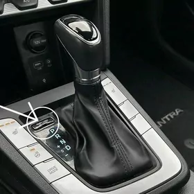 Elantra knopgalary