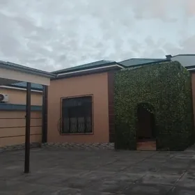 plimyani taze plan jay 250m²