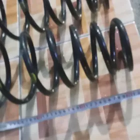 Puržyn пуржын