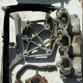 Maxima zapcas