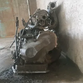 mator karopka karona