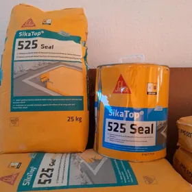 Master Seal 525 basseyn kley