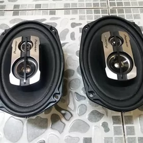 pioneer nikl 550w