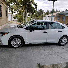 Toyota Corolla 2024