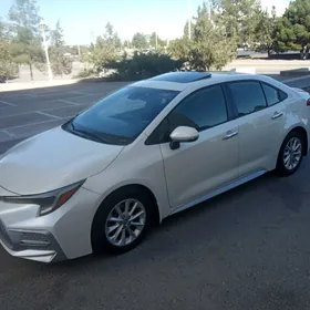 Toyota Corolla 2020
