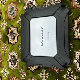 Pioneer usulitel