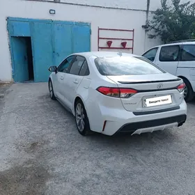 Toyota Corolla 2019