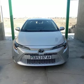 Toyota Corolla 2021