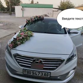 bezeg