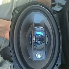 Калонка Сони