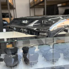 Avalon fara 2021