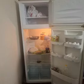 haladinik