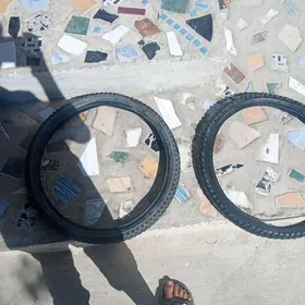 300lık pakrışka