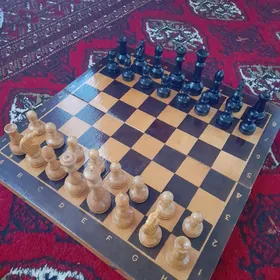 Шахматы  СССР/küşt