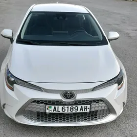 Toyota Corolla 2020