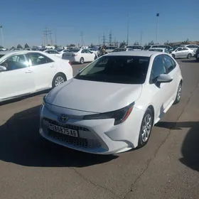 Toyota Corolla 2021
