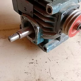 çerbiaçny redyktor