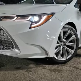Toyota Corolla 2021