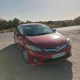 Toyota Corolla 2010