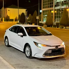 Toyota Corolla 2020