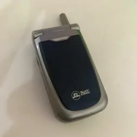 20 lik